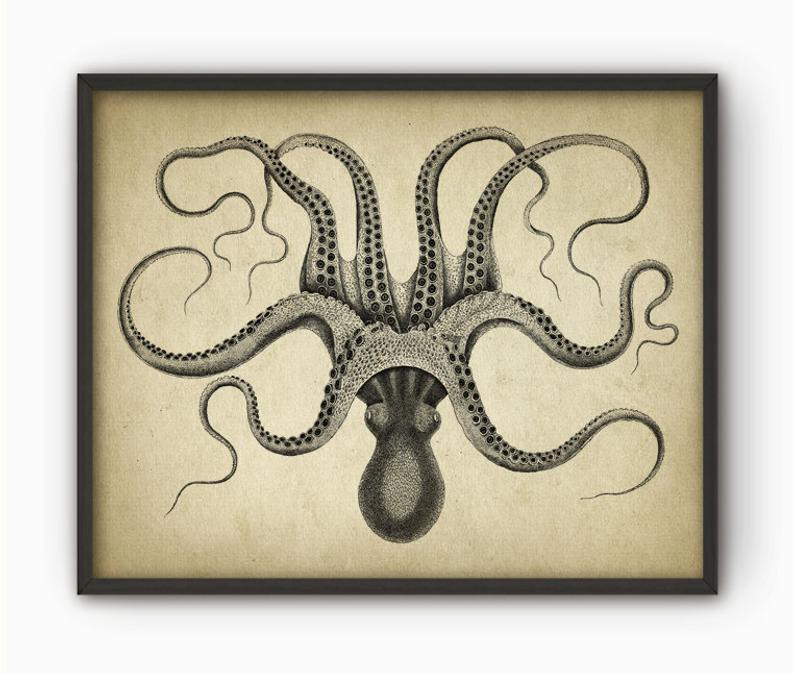 794x674 octopus wall art poster octopus ink drawing art print etsy - Octopus Ink Drawing