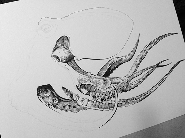 600x450 Pen And Ink Octopus On Behance - Octopus Ink Drawing