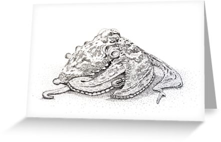 441x283 Sydney Octopus Ink Drawing - Octopus Ink Drawing
