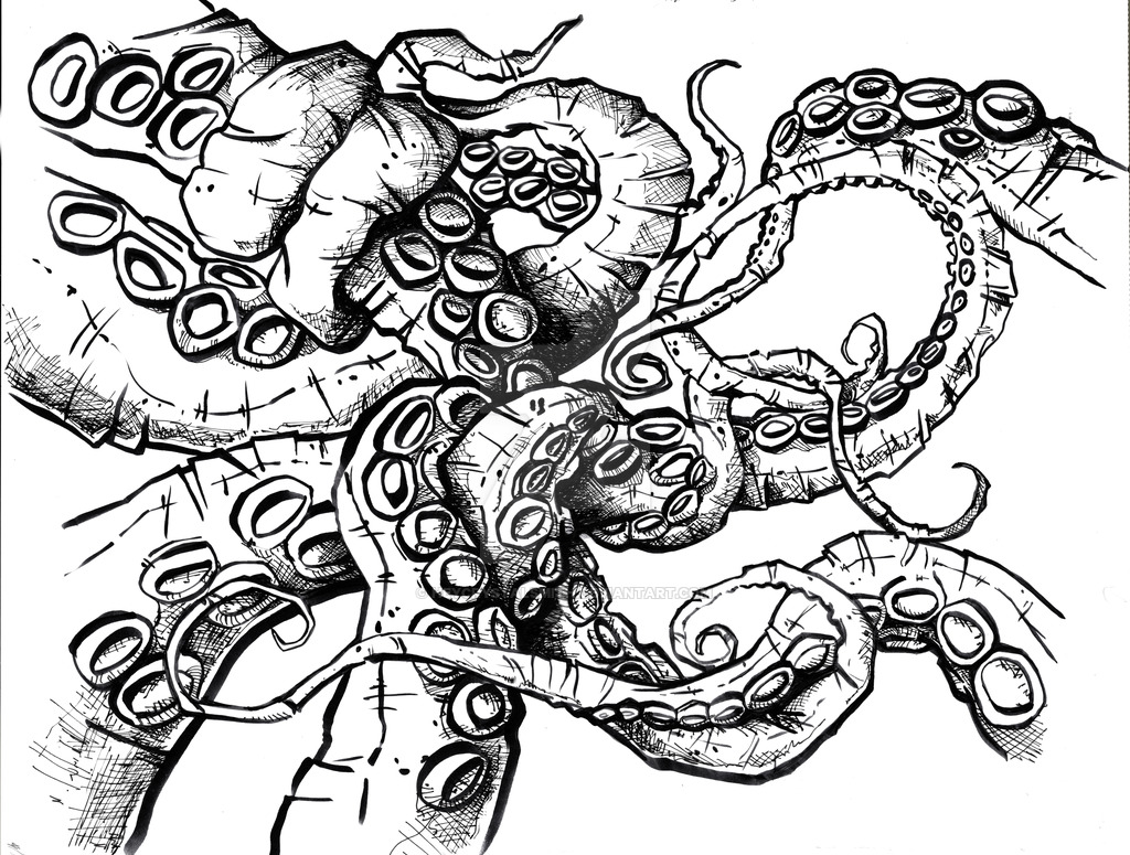 1024x775 tentacles - Octopus Ink Drawing