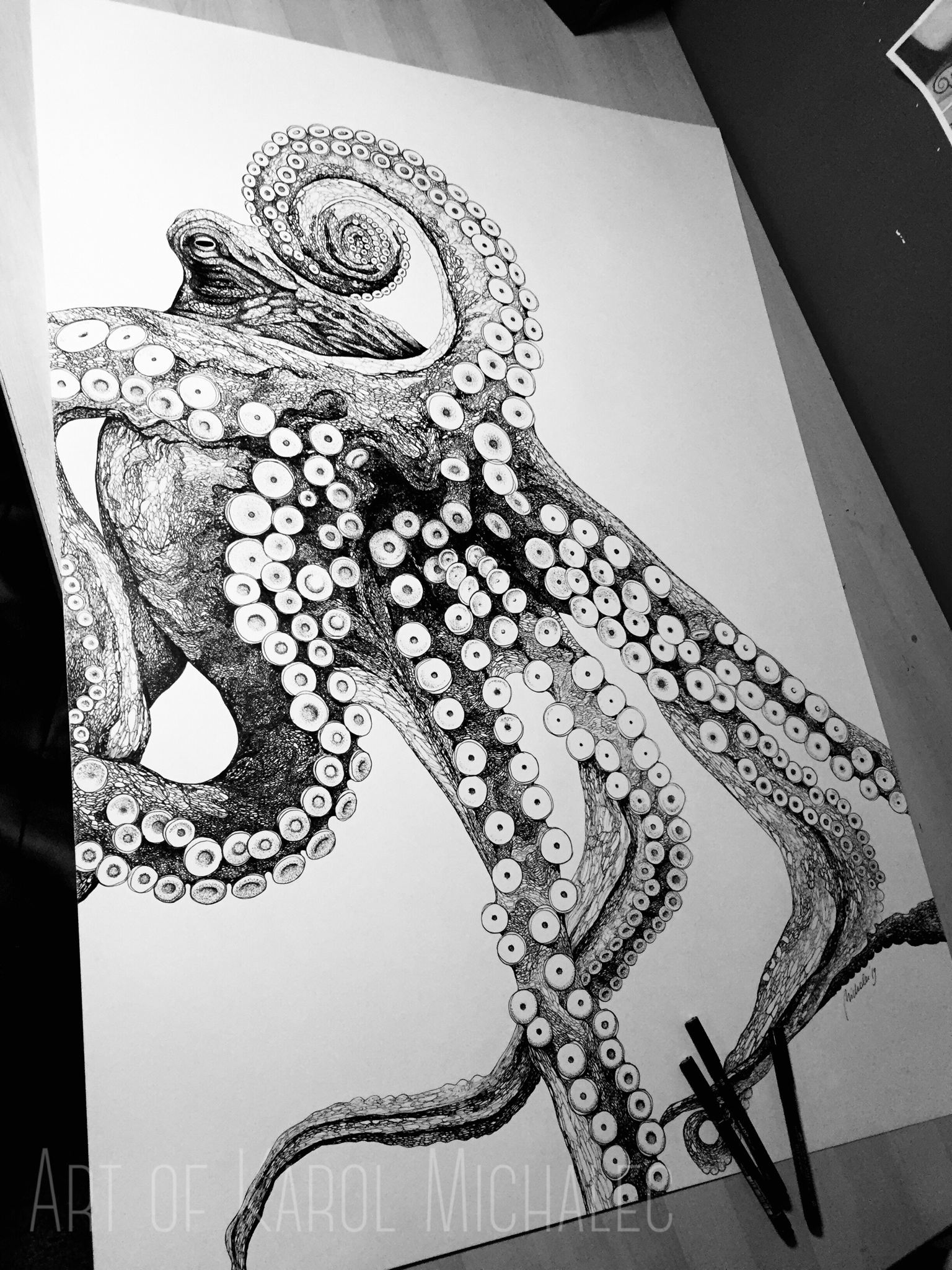 1536x2048 The Dutchess - Octopus Ink Drawing