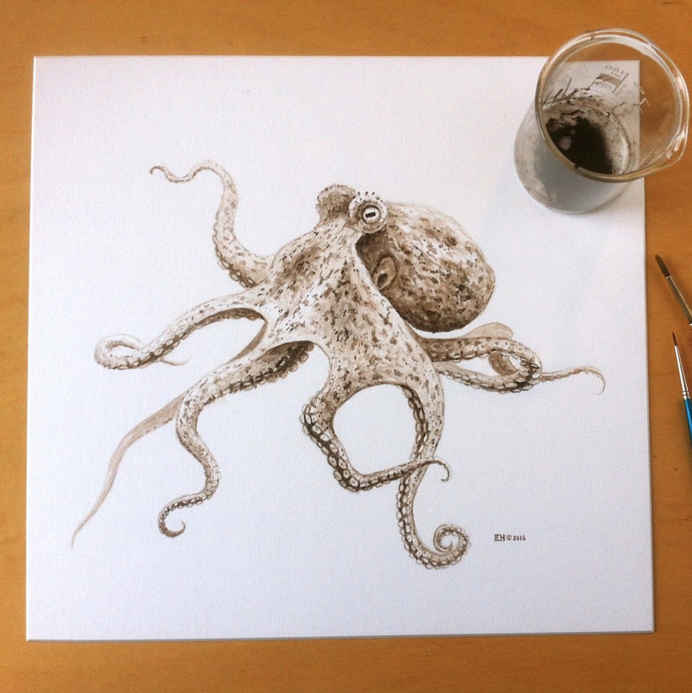 1000x1001 an octopus painted with million year old ink colossal - Octopus Ink Drawing