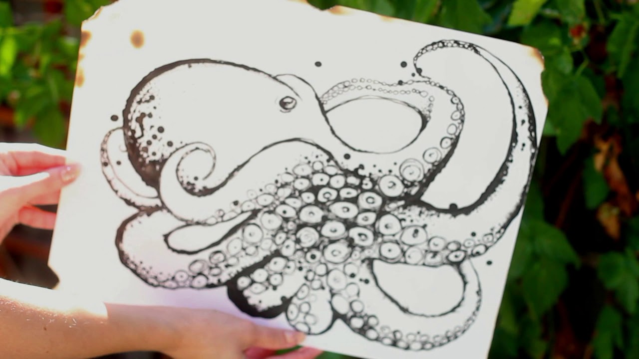 1280x720 How To Draw An Octopus With Ink! - Octopus Ink Drawing