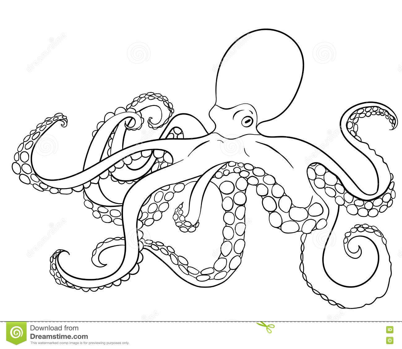1300x1130 image result for octopus line drawing punch needle - Octopus Line Drawing