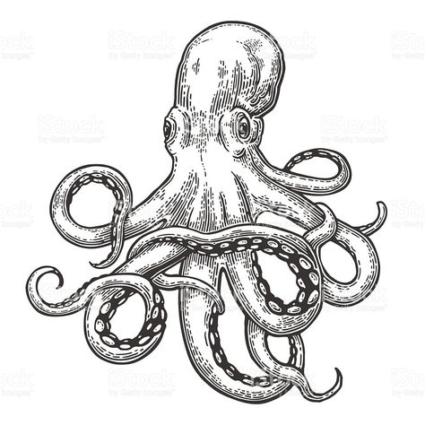 474x474 image result for octopus line drawing projects octopus tattoo - Octopus Line Drawing
