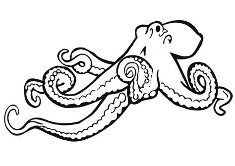 474x335 Nice Line Drawing - Octopus Line Drawing