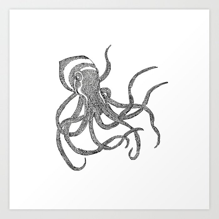 Octopus Line Drawing at PaintingValley.com | Explore collection of ...