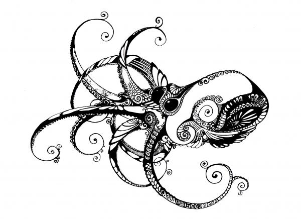 600x436 Octopus Line Drawing - Octopus Line Drawing