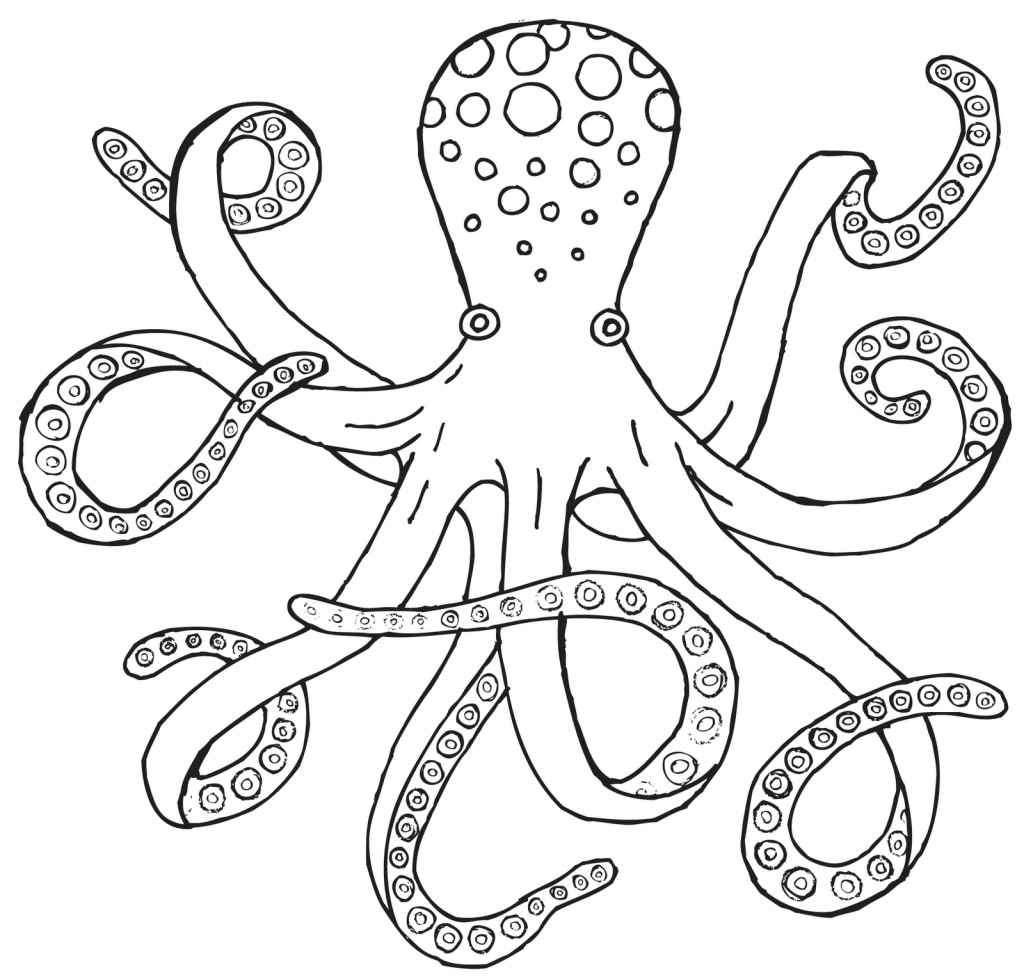 1024x979 Octopus Pictures To Colour Tacho Einstellung - Octopus Outline Drawing