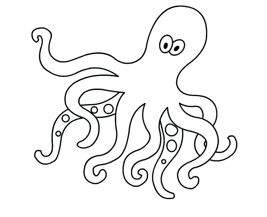 Octopus Outline Drawing at PaintingValley.com | Explore collection of ...