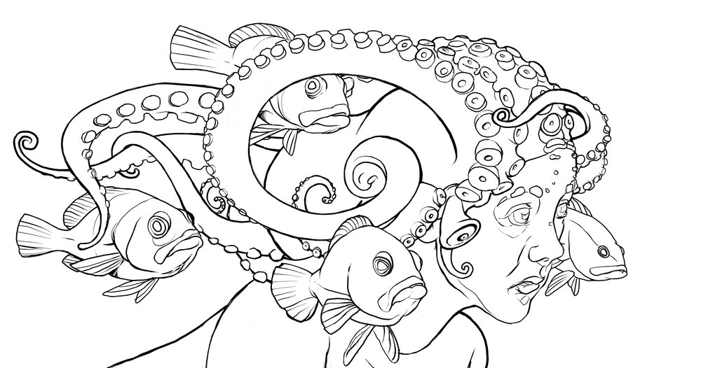 1000x526 Octopus Ashley Ylst Illustration - Octopus Outline Drawing
