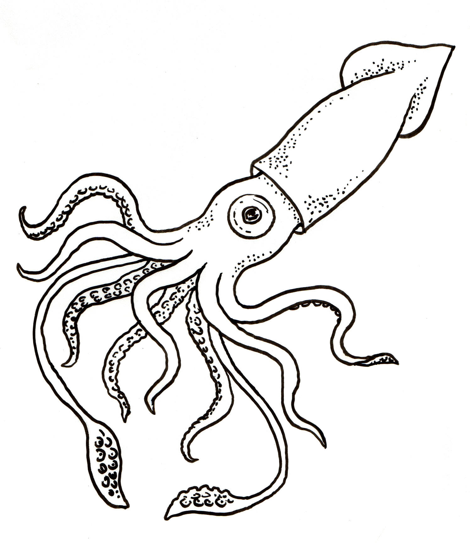 1496x1727 sure fire octopus pictures to colour outline drawing - Octopus Outline Drawing