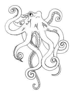 300x381 Octopus Outline Remodel - Octopus Outline Drawing