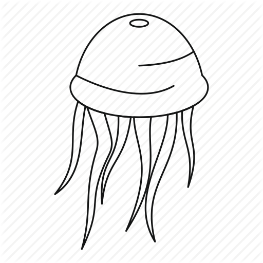 512x512 Fish, Jellyfish, Line, Octopus, Outline, Sea, Thn - Octopus Outline Drawing