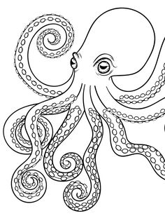 236x311 Huge Collection Of 'octopus Outline Drawing' Download More Than - Octopus Outline Drawing