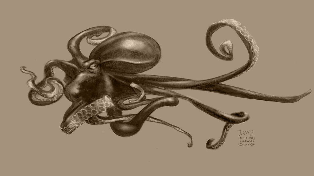 1024x576 favorite animal octopus - Octopus Pencil Drawing