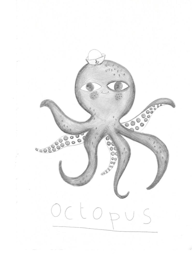794x1047 Octopus Drawing Original Pencil Drawing On Paper Sketch X Etsy - Octopus Pencil Drawing