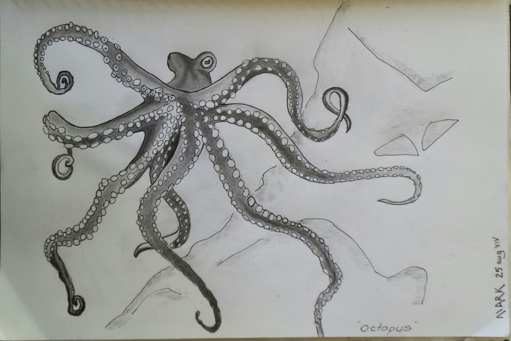 1024x684 Today's Art Octopus Doodartx - Octopus Pencil Drawing