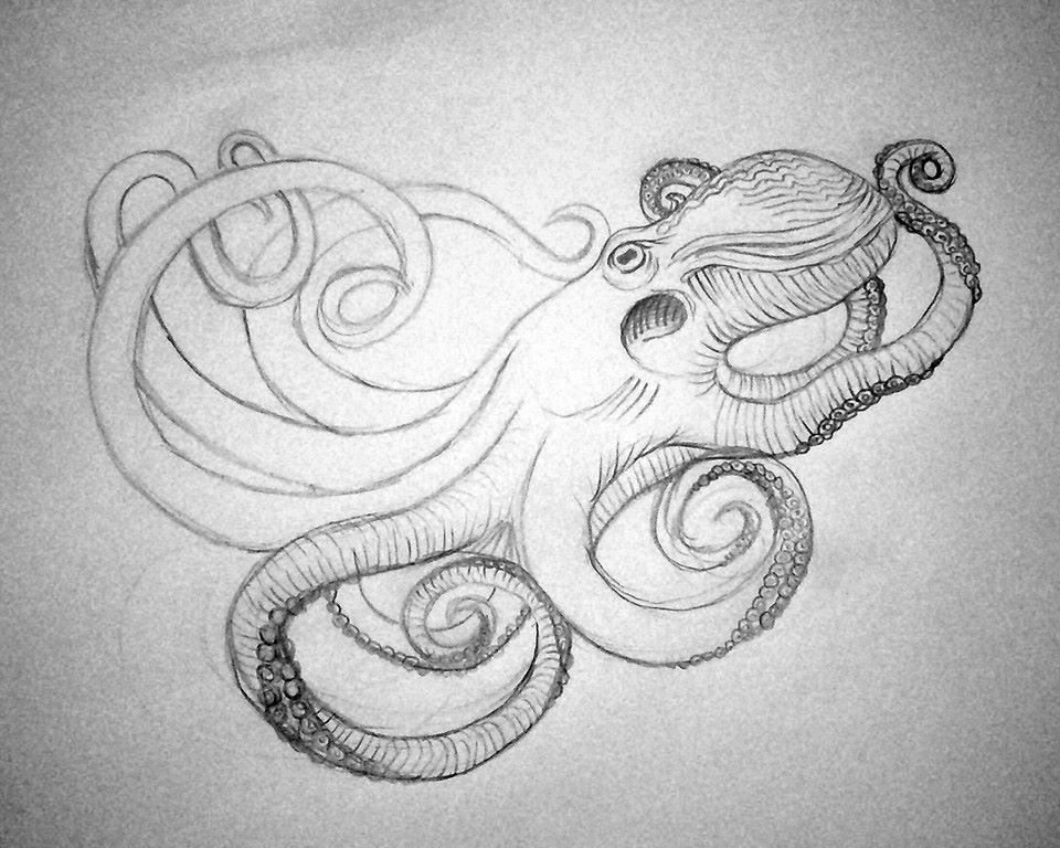 960x768 Octopus Necklace - Octopus Pencil Drawing