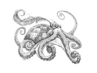 400x300 aquatic octopus pencil giclee print - Octopus Pencil Drawing
