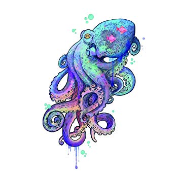 355x355 Wyuen Pcs Octopus Women Temporary Tattoos Men Fake - Octopus Tattoo Drawing