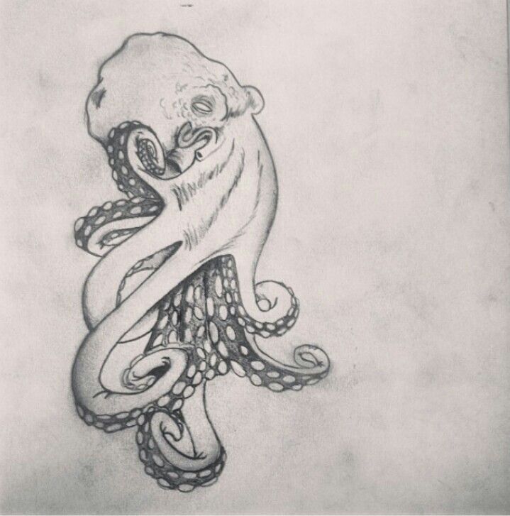 719x727 Octopus Tattoo Drawings - Octopus Tattoo Drawing