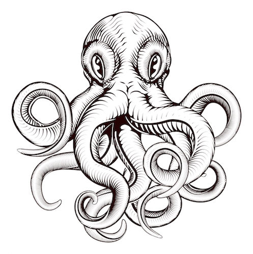 497x500 Octopus Tattoo Meaning - Octopus Tattoo Drawing