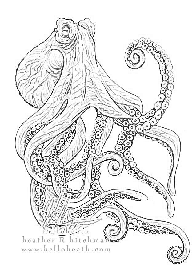 637x899 octopus tattoo sketch tattoo drawings and other stuff tattoo - Octopus Tattoo Drawing