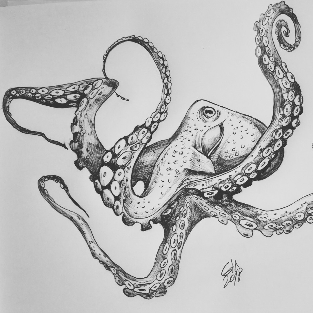 Octopus Tattoo Drawing at Explore collection of