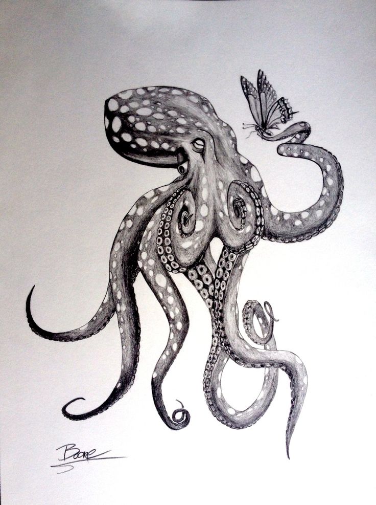 736x987 Octopus Tattoos Designs - Octopus Tattoo Drawing
