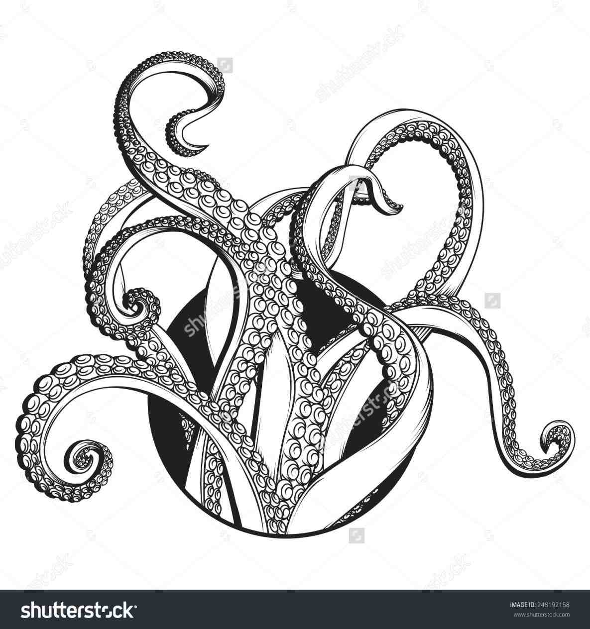 octopus tentacles octopus tentacles drawing