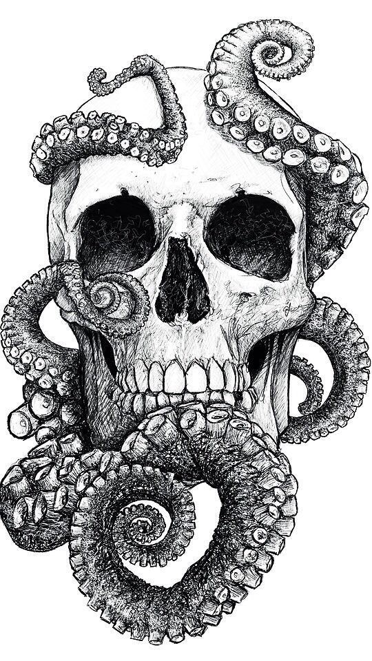 540x960 skulls - Octopus Tentacles Drawing