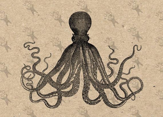 570x409 vintage octopus tentacles kraken cuttlefish instant download etsy - Octopus Tentacles Drawing