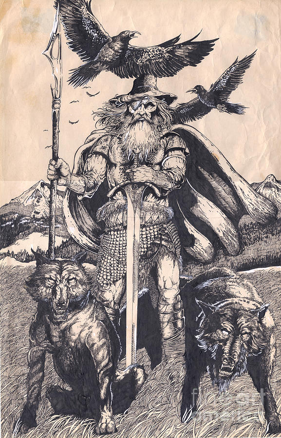 577x900 odin drawing - Odin Drawing