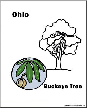 304x379 ohio state tree - Ohio State Drawing