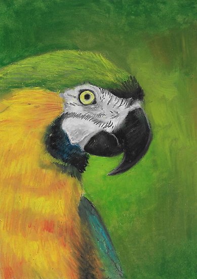 389x550 green and gold parrot macaw original oil pastel painting posters - Oil Pastel Drawing