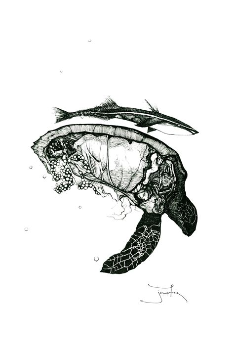 480x720 effects of oil spill on wild life - Oil Spill Drawing