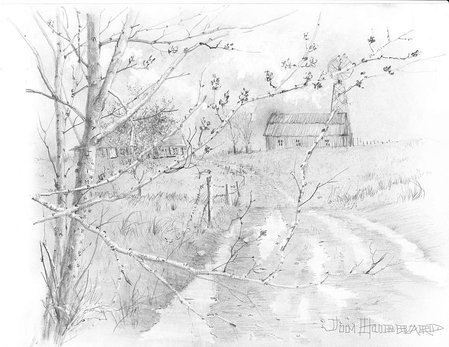 900x695 oklahoma eastern red bud drawing - Oklahoma Drawing