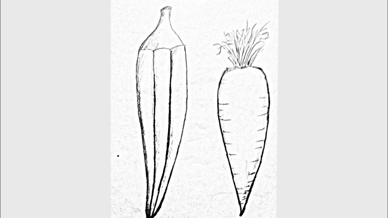 1280x720 How To Draw A Ladies Finger Or Okra And How To Draw A Carrot - Okra Drawing
