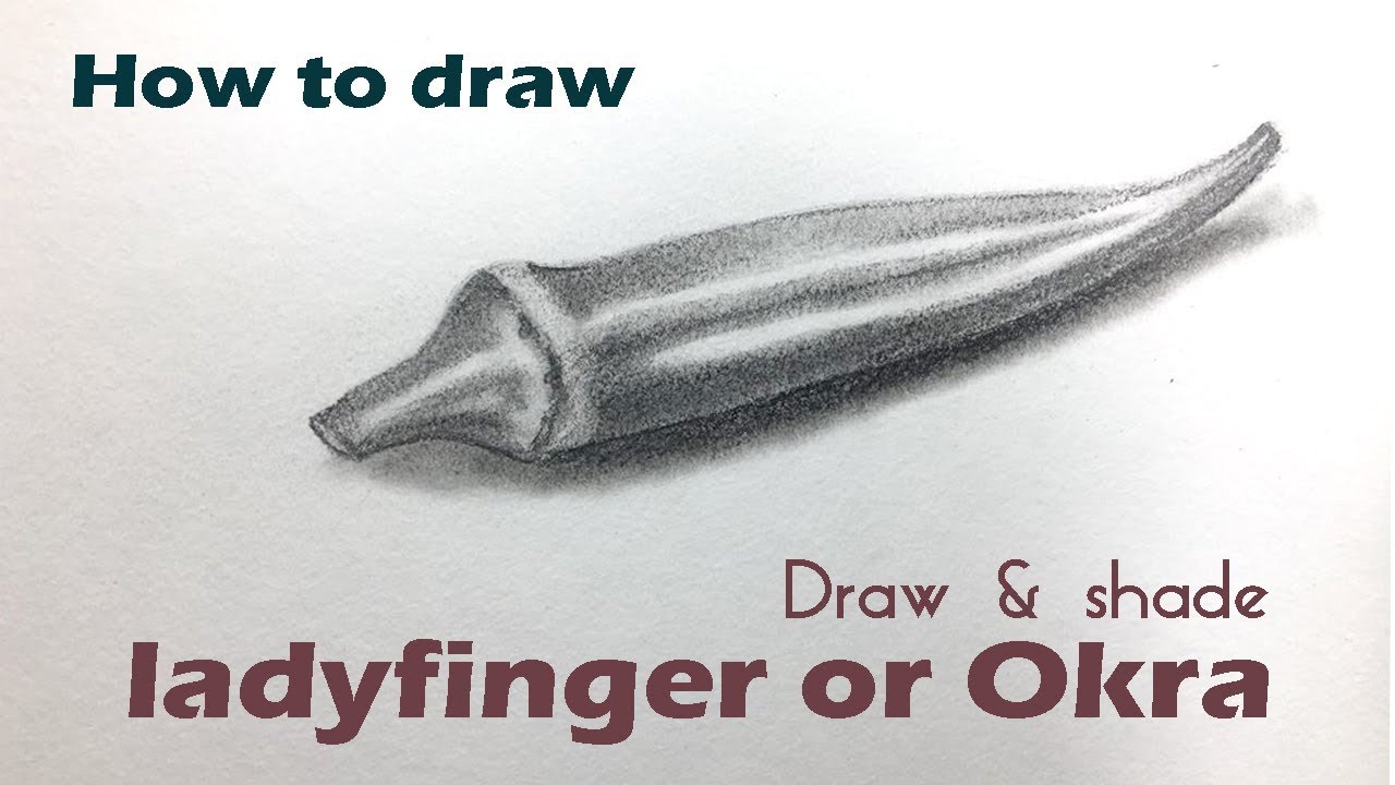 1280x720 How To Draw A Ladyfinger Okra Drawing Tutorial - Okra Drawing