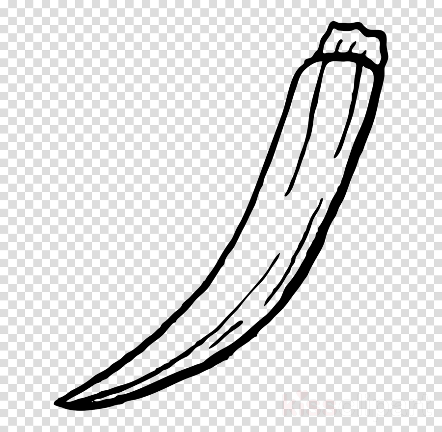 900x880 Okra, Graphics, Drawing, Transparent Png Image Clipart Free Download - Okra Drawing