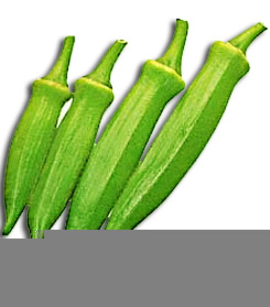 529x600 Okra Clipart Drawing - Okra Drawing