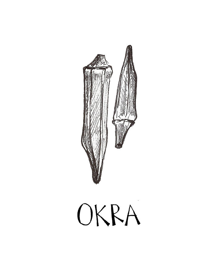 720x900 Okra Drawing - Okra Drawing
