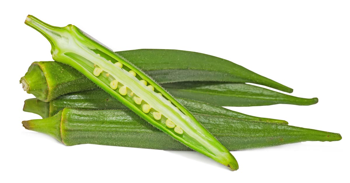 1200x627 Okra The Wonder Vegetable The Amazing Health Benefits - Okra Drawing