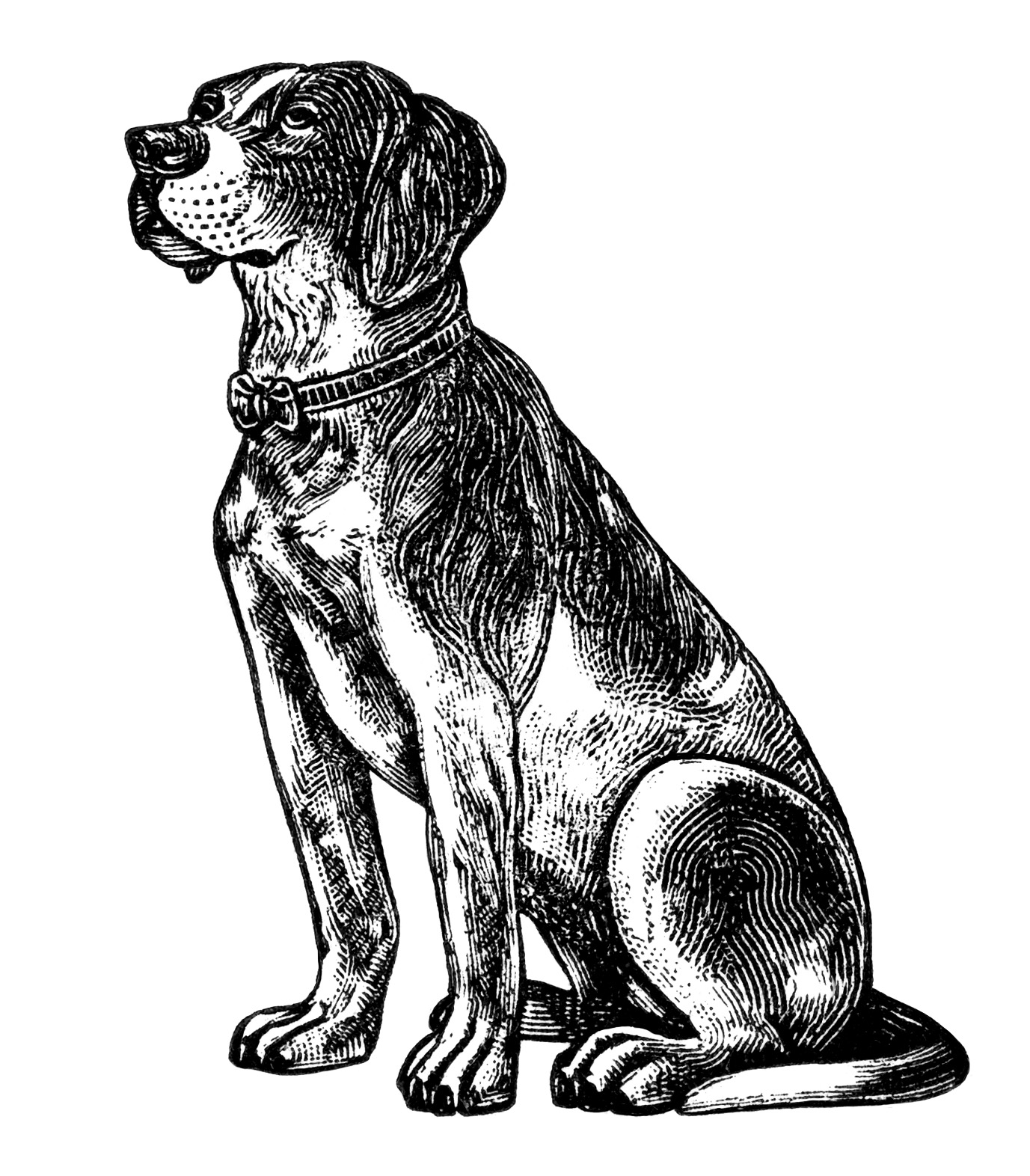 1377x1572 Free Vintage Dog Clip Art - Old Dog Drawing