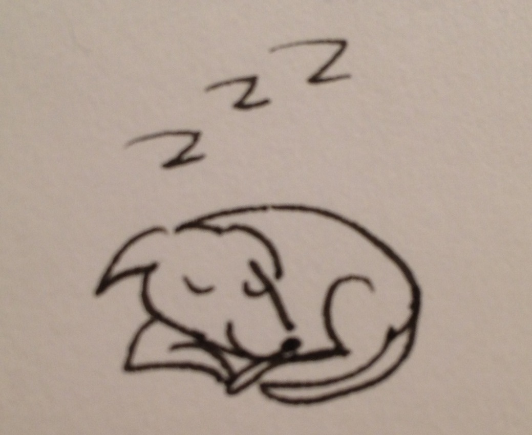1039x850 My Year Old Drawing Our Dog Sleeping, Too Cute Aww - Old Dog Drawing