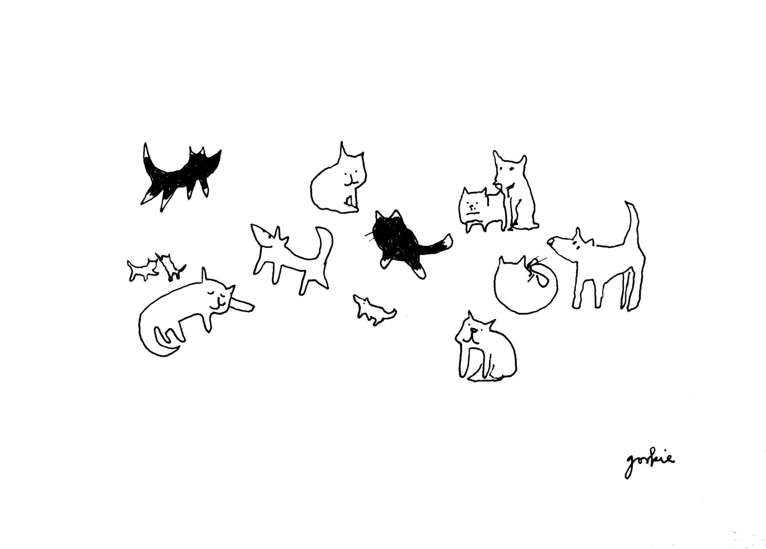 2464x1768 teaching an old dog new tricks pharmacogenomics testing - Old Dog Drawing