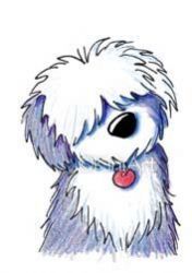 Old English Sheepdog Drawing