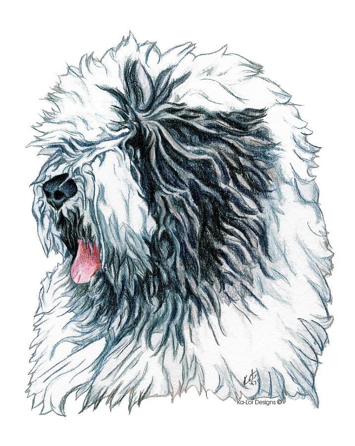717x900 old english sheepdog drawing - Old English Sheepdog Drawing