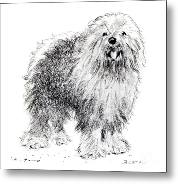 583x600 old english sheepdog drawing - Old English Sheepdog Drawing